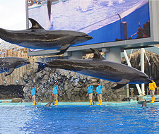 名古屋港水族館イメージ